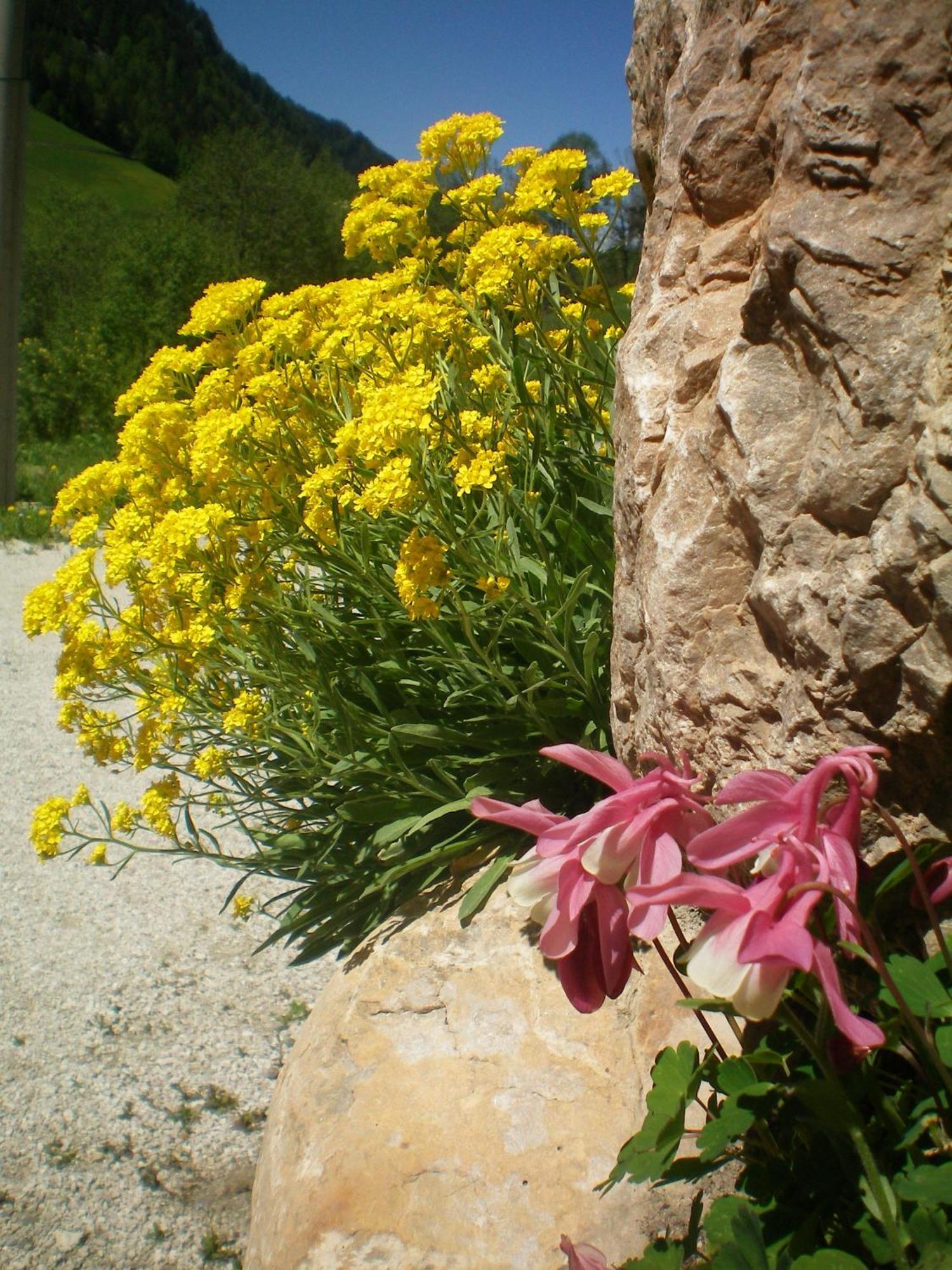 Villa Otto Santa Cristina Val Gardena Exterior photo